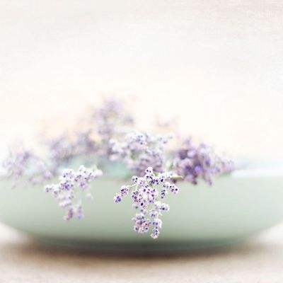 亿博app官网截图